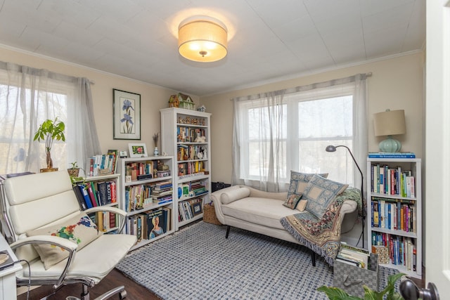 living area featuring a wealth of natural light and crown molding