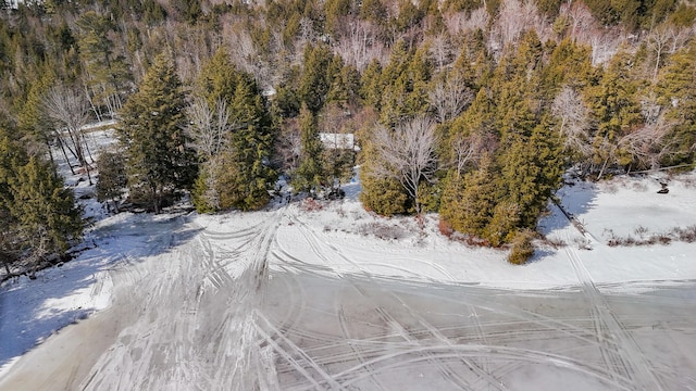 birds eye view of property featuring a forest view