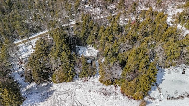 birds eye view of property featuring a forest view