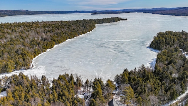 drone / aerial view featuring a wooded view and a water view