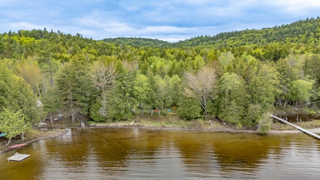 345 Tims Cove Rd, Willimantic, ME 04443 - water view featuring a heavily wooded area