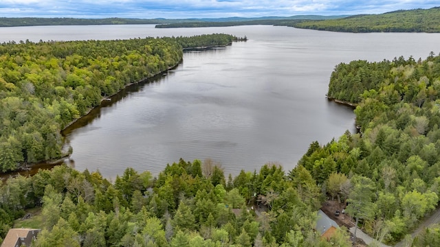 345 Tims Cove Rd, Willimantic, ME 04443 - aerial view of a large body of water and a forest