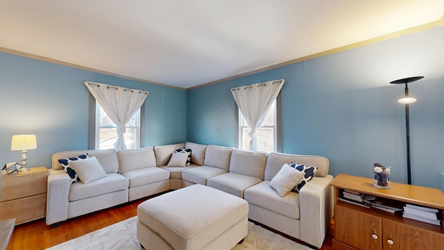 living area featuring crown molding and wood finished floors