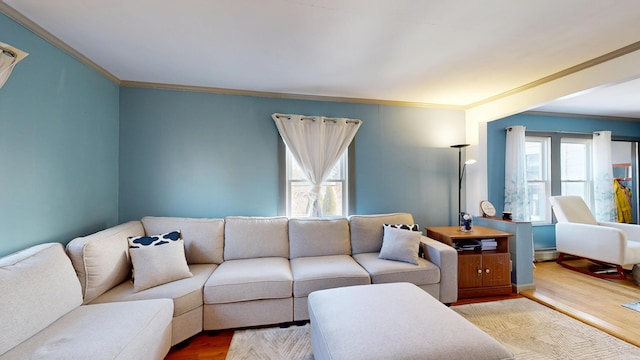 living room featuring ornamental molding, a baseboard radiator, and wood finished floors