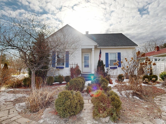 bungalow-style home featuring a shingled roof