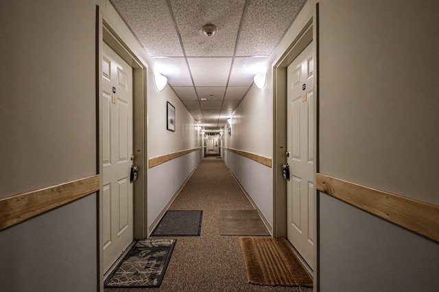 372 Skiway Rd Unit 204, Newry, ME 04261 - hallway featuring carpet flooring and a drop ceiling