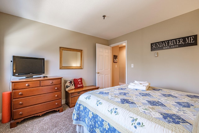 372 Skiway Rd Unit 204, Newry, ME 04261 - bedroom featuring light colored carpet