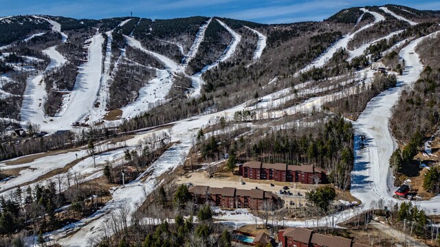 372 Skiway Rd Unit 204, Newry, ME 04261 - view of mountain feature