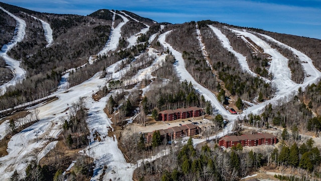 372 Skiway Rd Unit 204, Newry, ME 04261 - mountain view