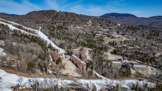 372 Skiway Rd Unit 204, Newry, ME 04261 - snowy aerial view with a mountain view