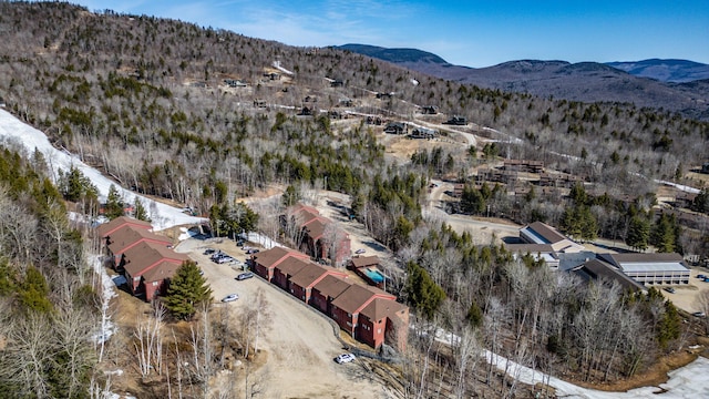 372 Skiway Rd Unit 204, Newry, ME 04261 - aerial view featuring a mountain view