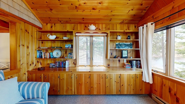 living area featuring wood ceiling, vaulted ceiling, wood walls, a baseboard radiator, and carpet