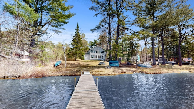 dock area with a water view