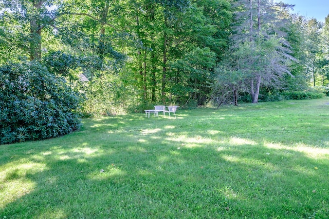 view of yard featuring a view of trees