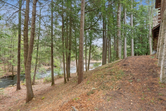 52 Main St, Sanford, ME 04083 - view of yard