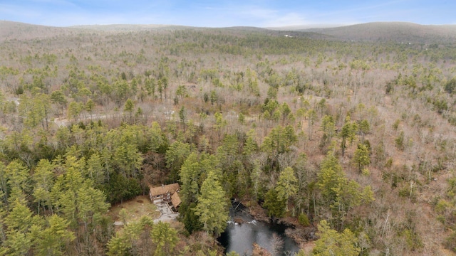 52 Main St, Sanford, ME 04083 - birds eye view of property with a view of trees and a mountain view