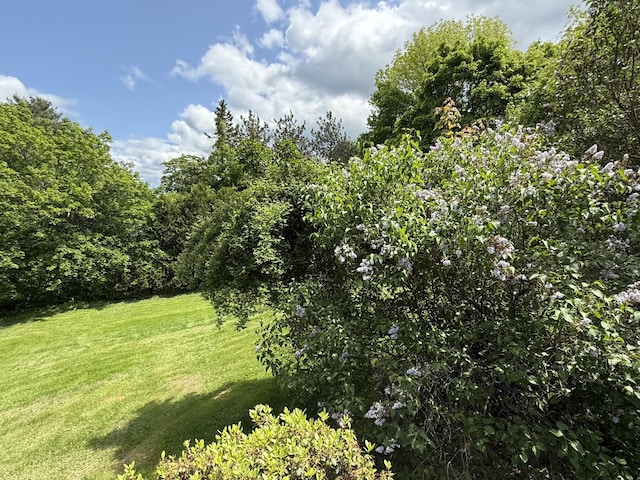 22 Sand Hill Rd, Wiscasset, ME 04578 - view of local wilderness