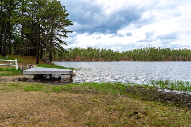 8 Royal Coachman Way, Shapleigh, ME 04076 - dock area with a water view and a view of trees