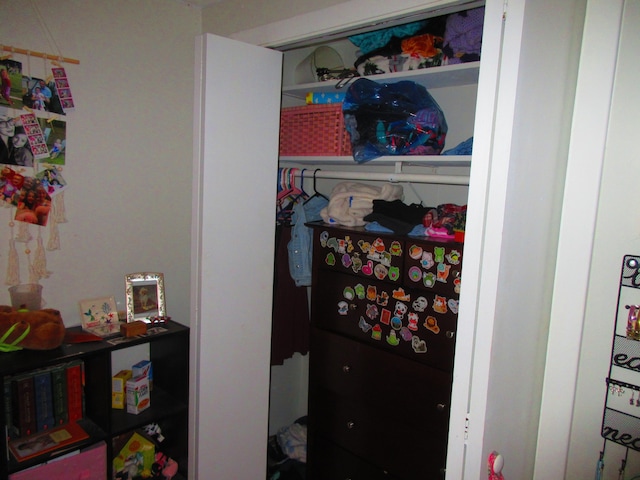 view of closet