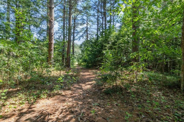 view of landscape featuring a forest view