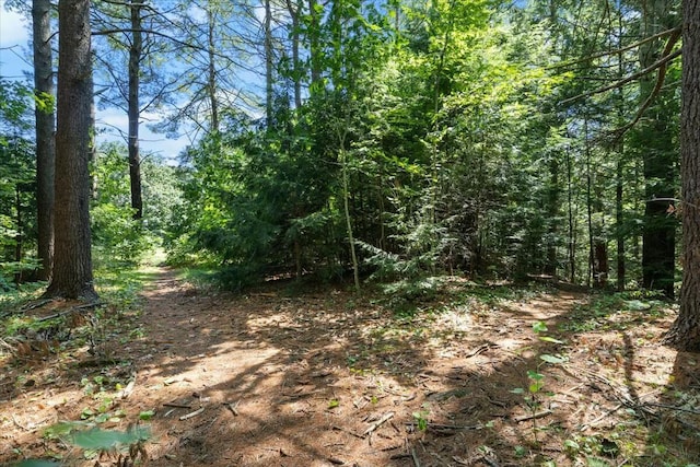 view of nature with a forest view