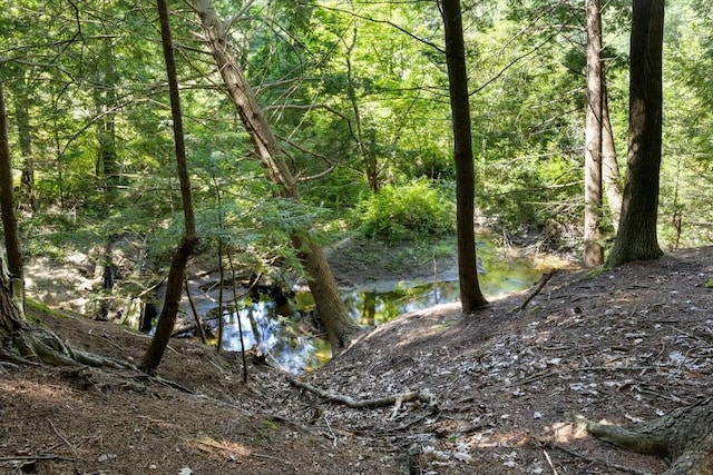 view of nature with a forest view