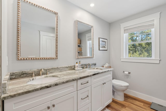 full bath with toilet, wood finished floors, baseboards, and a sink