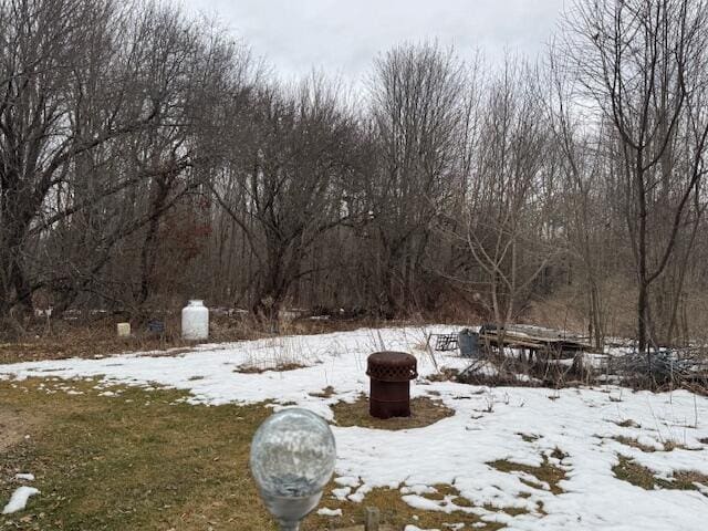 view of yard layered in snow