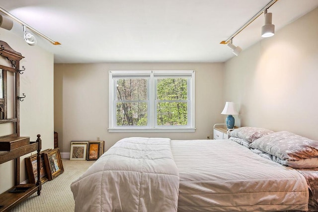 101 Whites Bridge Rd, Windham, ME 04062 - carpeted bedroom with rail lighting