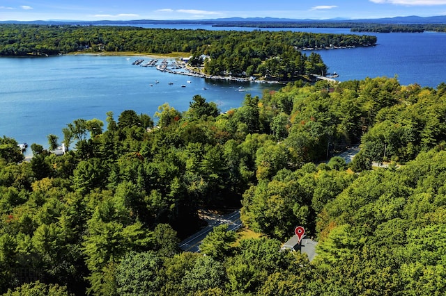 101 Whites Bridge Rd, Windham, ME 04062 - bird's eye view of a forest and a water and mountain view