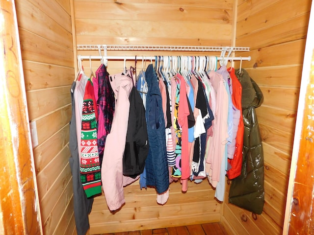 view of closet