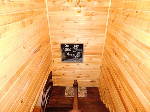 staircase featuring wood walls and a sauna