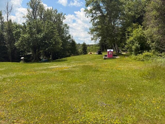 70 Pond View Rd, Wallagrass, ME 04781 - photo 5