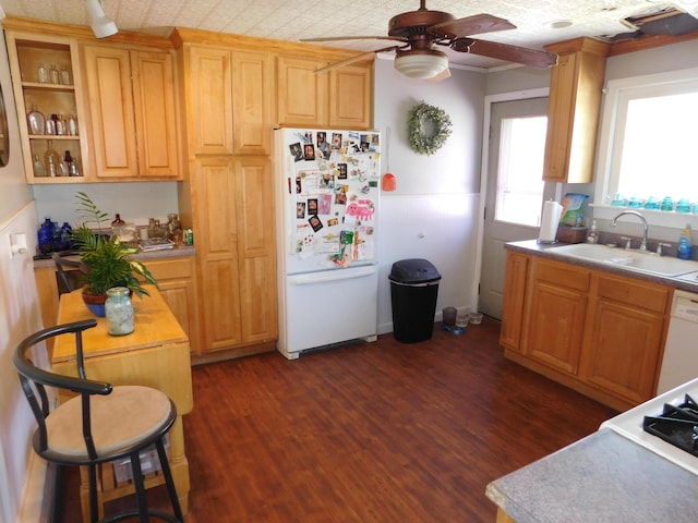 kitchen featuring a sink, white appliances, dark wood-type flooring, and ceiling fan