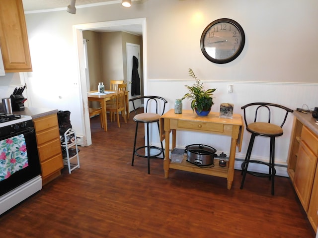 dining room featuring dark wood-style floors, a wainscoted wall, a baseboard heating unit, and ornamental molding