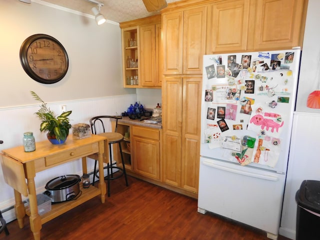 kitchen with dark wood finished floors, a wainscoted wall, track lighting, and freestanding refrigerator