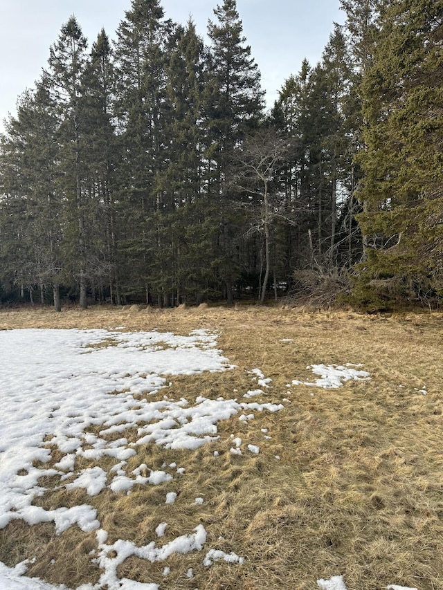 view of local wilderness with a forest view