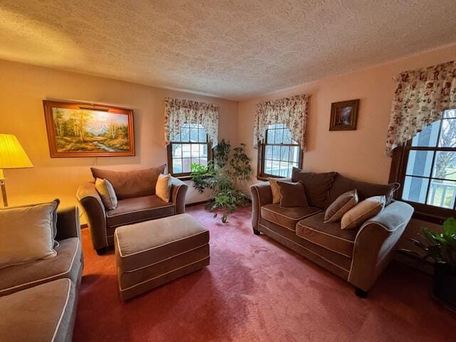 carpeted living room featuring a textured ceiling