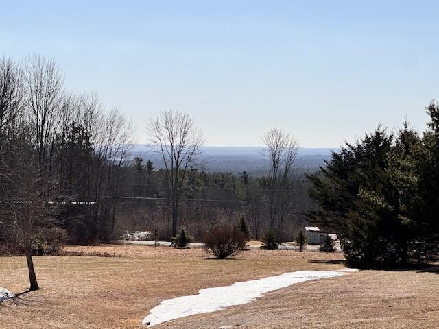 view of yard featuring a wooded view