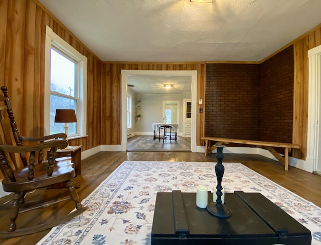 interior space with plenty of natural light, baseboards, wood finished floors, and wooden walls