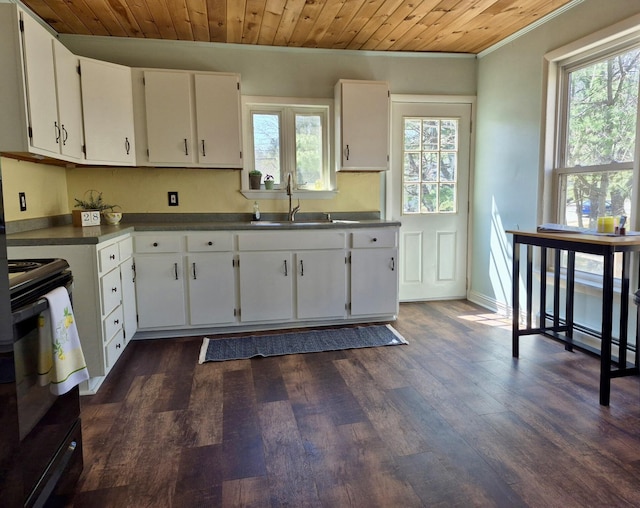 kitchen featuring range with electric stovetop, a sink, plenty of natural light, and ornamental molding