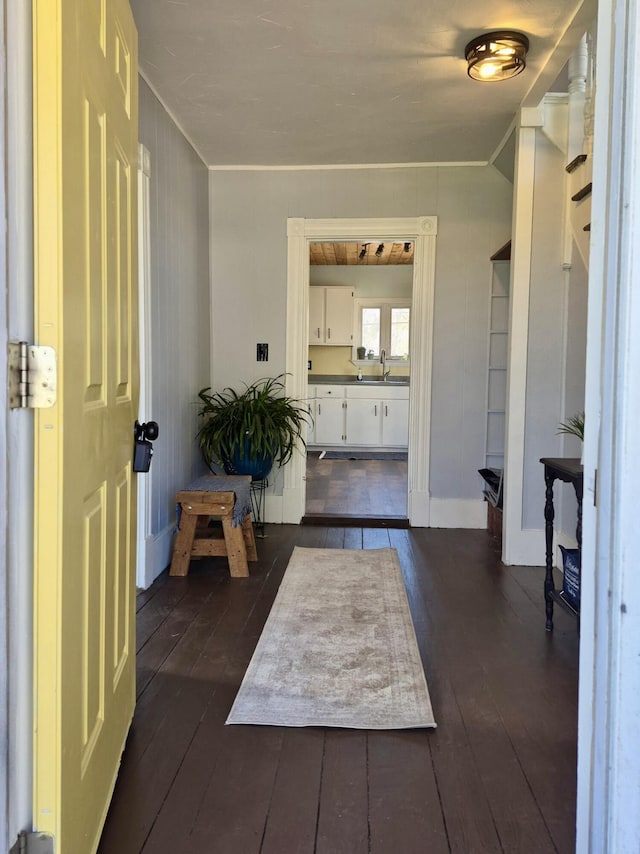 foyer featuring dark wood finished floors and ornamental molding