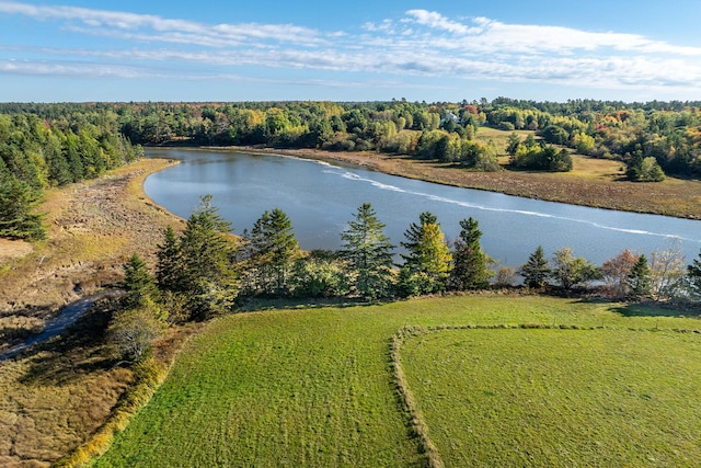 452 Milbridge Rd, Cherryfield, ME 04622 - birds eye view of property featuring a water view and a view of trees