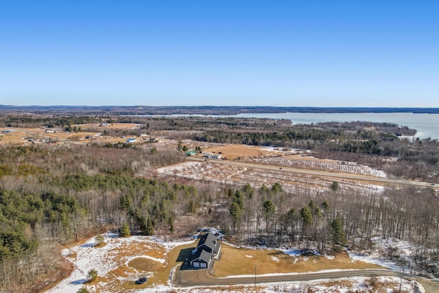 63 Grandview Dr, Newport, ME 04953 - birds eye view of property