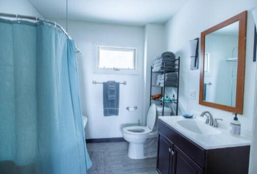 bathroom with a shower with curtain, toilet, wood finished floors, and vanity