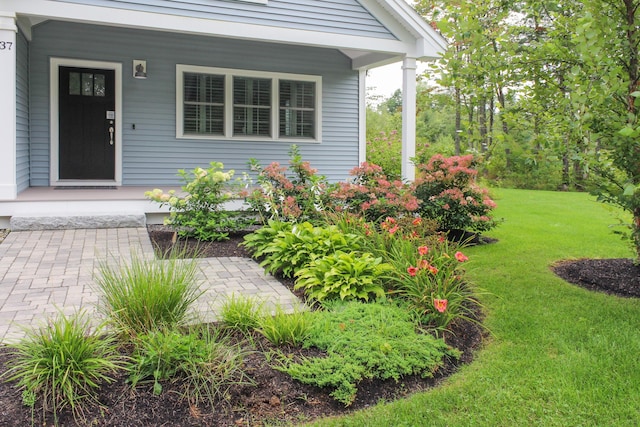 property entrance featuring a porch and a yard