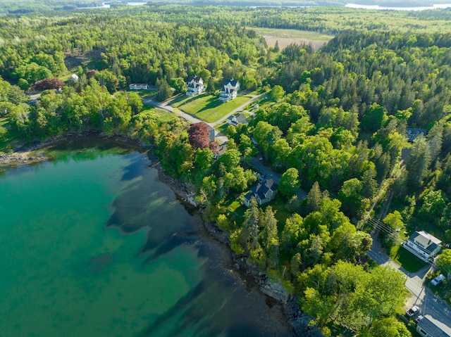 aerial view featuring a forest view and a water view