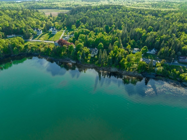 bird's eye view featuring a forest view and a water view