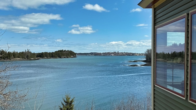 view of water feature