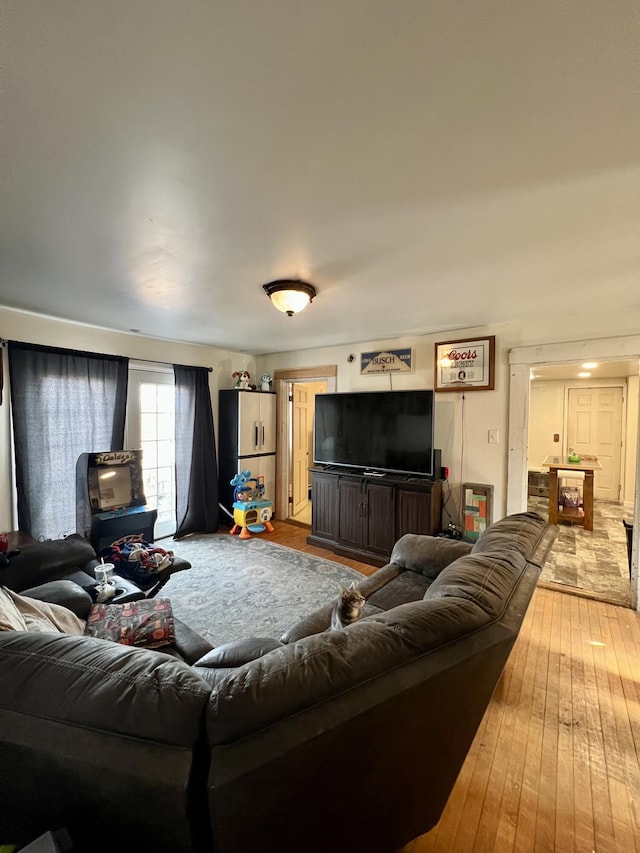 living room with hardwood / wood-style flooring